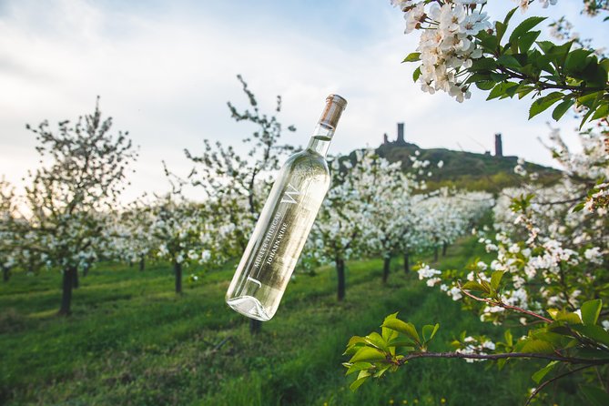 Private PICNIC in Bohemian Vineyards and Wine Tasting 4WD Tour - Key points to know before booking