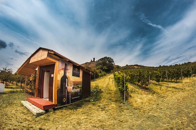 Private PICNIC in Bohemian Vineyards and Wine Tasting 4WD Tour - What the private format is really worth