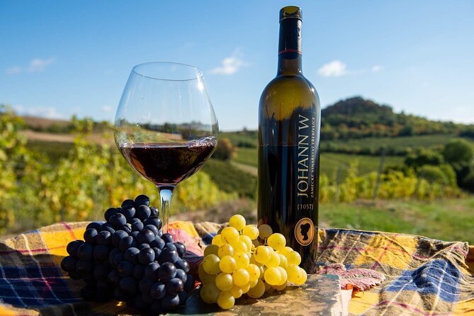 Private PICNIC in Bohemian Vineyards and Wine Tasting 4WD Tour - The drive reveals a different Czech Republic