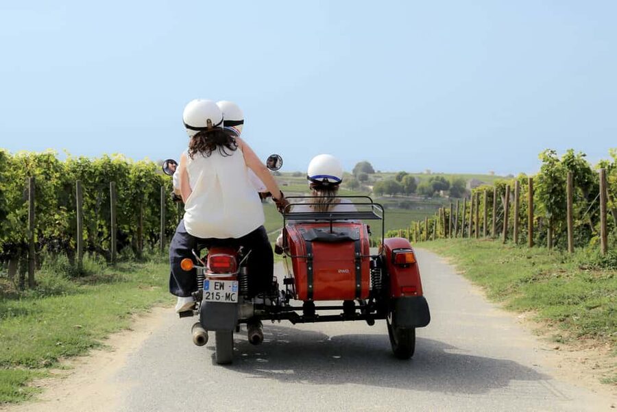 Private ride in the vineyards from Saint-Emilion - Languages, Weather, and Practical Comfort