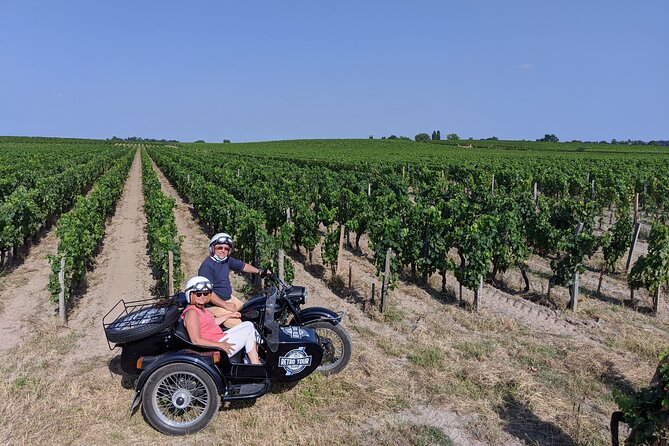 Private ride through the vineyards from Saint-Emilion - 1h30 - Château views and the value of the photo stops