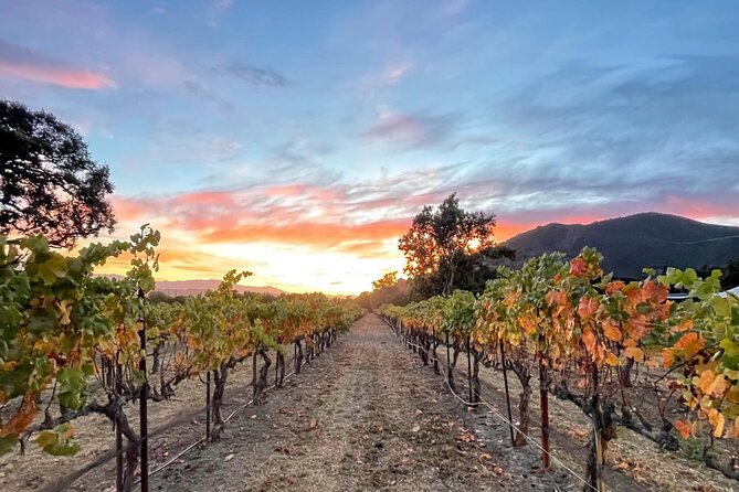 Private Santa Barbara Wine Country Vineyards & Villages Tour - A Private Ride Into Santa Barbara Wine Country