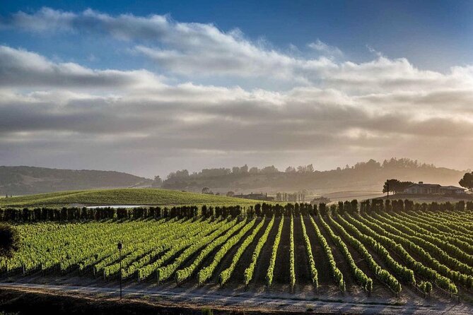Private Santa Barbara Wine Country Vineyards & Villages Tour - The Guides Make the Difference