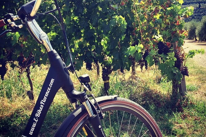 Private Self-Guided E-Bike Ride in Tuscany with Vineyard Visit - Key points to know before booking