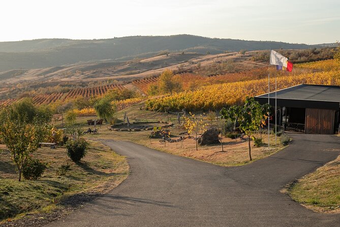Private Tasting Expedition Along Romania’s Most Famous Wine Route - Why this Bucharest wine day is worth considering