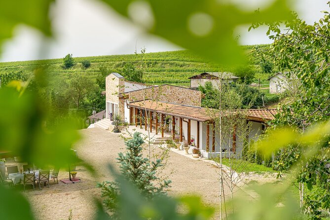 Private Tasting Expedition Along Romania’s Most Famous Wine Route - Is $325.80 per person good value?
