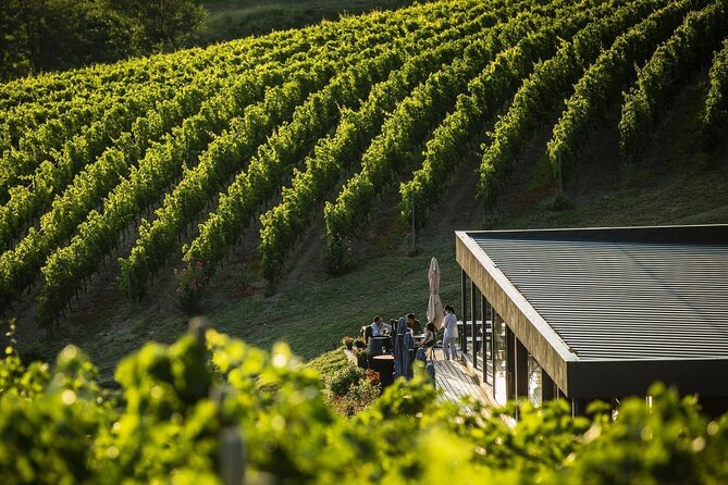 Private Tasting Expedition Along Romania’s Most Famous Wine Route - What makes Dealu Mare different