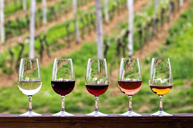 Private Taxi Tour in the Douro with a Visit to 2 Family Vineyards - Starting in Peso da Régua at 10:15 a.m.