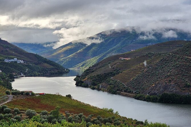 Private Taxi Tour in the Douro with a Visit to 2 Family Vineyards - The panoramic stop on the way to Pinhão