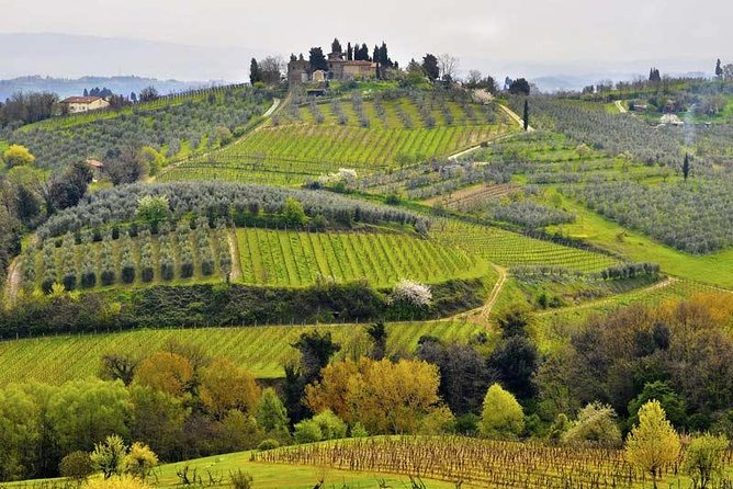 Private tour from Livorno port to Chianti Wine Region - Why this makes sense from Livorno