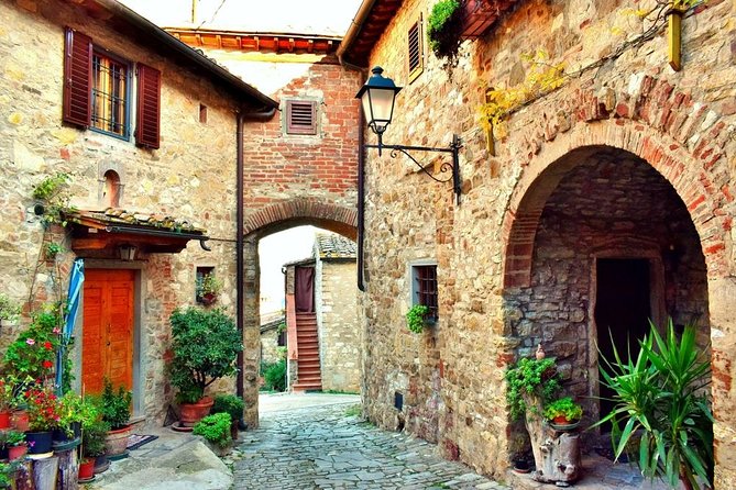 Private tour from Livorno port to Chianti Wine Region - San Gimignano: one hour among medieval towers