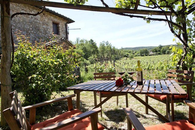 Private tour from Livorno port to Chianti Wine Region - Who will enjoy this day most