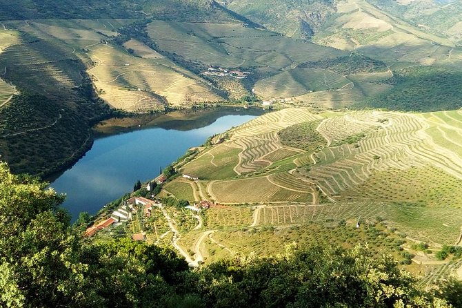 Private Tour in Douro Valley Wine Region & Traditional Lunch - Meeting the people behind the bottles