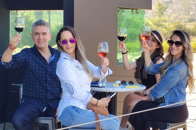 Private Tour in Guadalupe Valley, Vine Yards & Wine Route ENS MX - What Sergio adds to the day