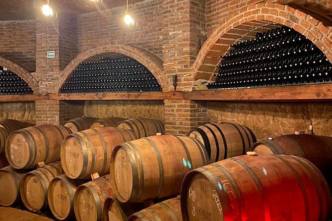 Private Tour in Guadalupe Valley, Vine Yards & Wine Route ENS MX - Who will get the most from this tour