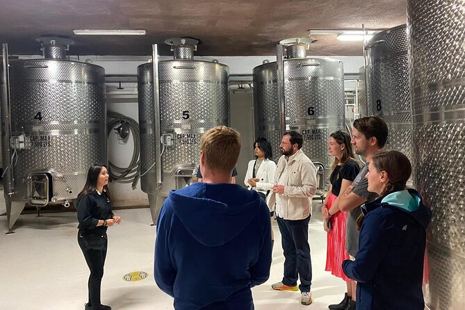 Private Tour in Guadalupe Valley, Vine Yards & Wine Route ENS MX - Three or four wineries, each with a different character