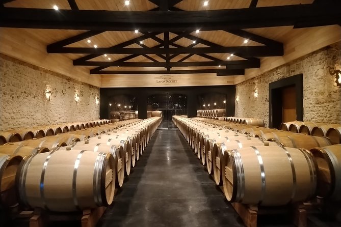 Private tour in the prestigious Médoc wine region - Château views and photo stops break up the tastings