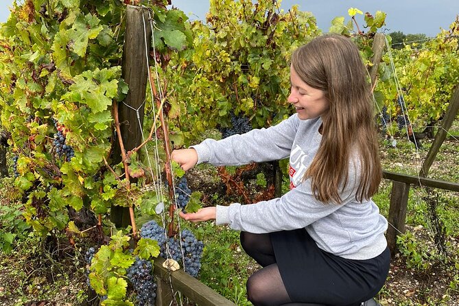 Private tour in the prestigious Médoc wine region - What the tastings are likely to teach you