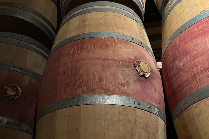 Private tour in the prestigious Médoc wine region - Who will enjoy this tour most