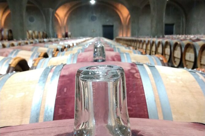Private tour in the prestigious Médoc wine region - Alaïs brings wine knowledge without making the day feel formal