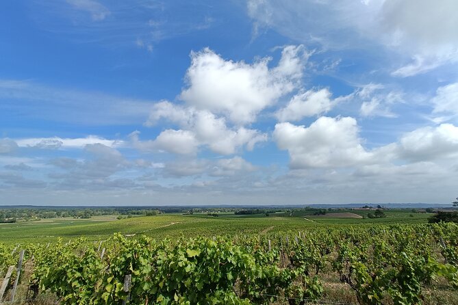 Private tour in the Sauternes wine region - discover Bordeaux sweet Crus Classés - Château La Tour Blanche: compare a second producer