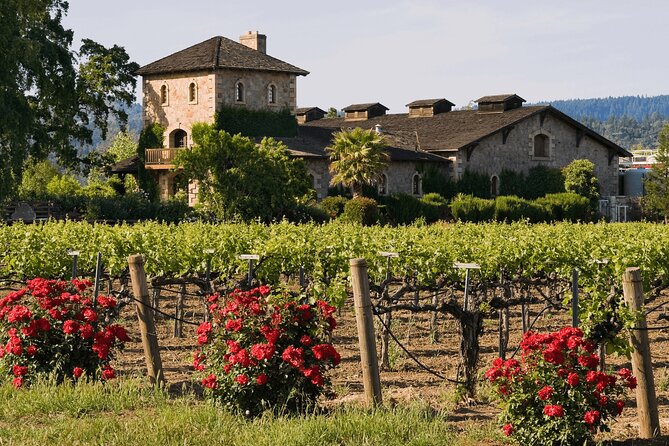Private Tour: Napa and Sonoma Wine Country - What a private vehicle changes