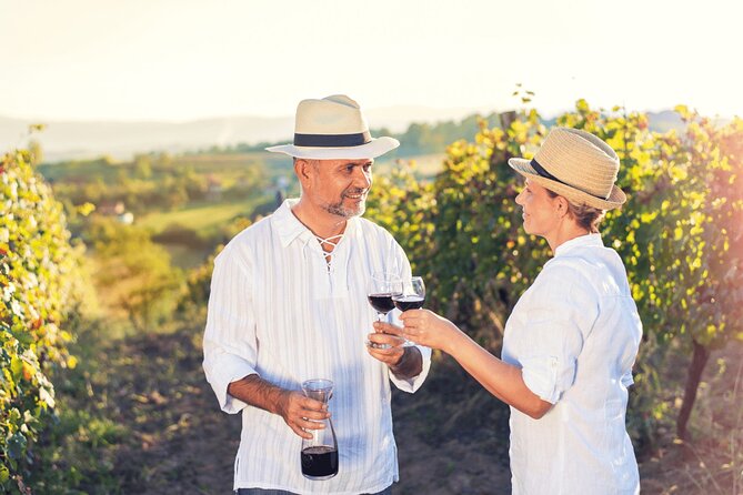 Private Tour: Napa and Sonoma Wine Country - The service questions you should settle early