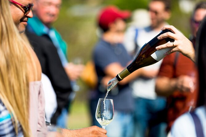 Private Tour: Napa and Sonoma Wine Country - How to make the most of the nine hours