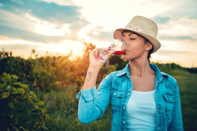 Private Tour: Napa and Sonoma Wine Country - Sonoma County and the first winery experience