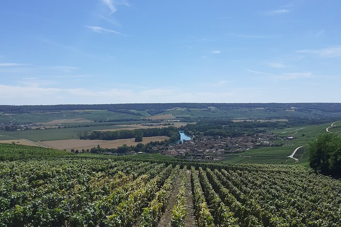 Private Tour of a Wine Estate and Oeno-olfactory Workshop - What Frédérique adds to the visit