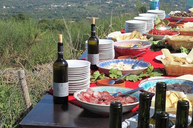 Private tour of Etna and Winery Visit with Food and Wine Tasting from Taormina - Walking around Rifugio Sapienza and the Silvestri Craters