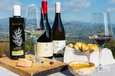 Private tour of Etna and Winery Visit with Food and Wine Tasting from Taormina