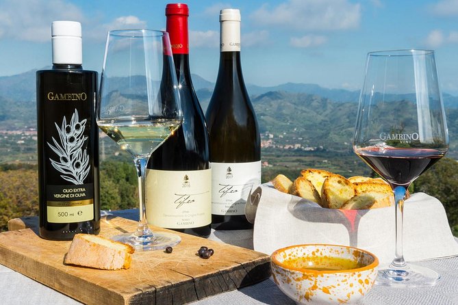 Private tour of Etna and Winery Visit with Food and Wine Tasting from Taormina - Zafferana Etnea and the taste of volcanic soil