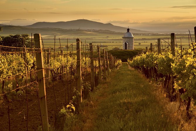 Private Tour to Czech Wine Regions - Lednice and Valtice - How the private format changes the day
