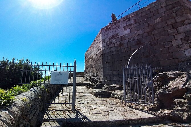 Private Tour to Lamego and Viseu, the Dão wine region - Choosing your Dão wine stops