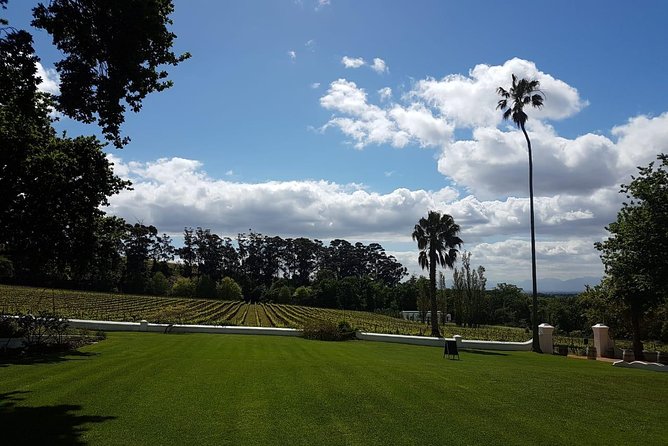 Private Tour with Wine Expert to Cape of Good Hope & Constantia Wine Region - One day, two very different sides of Cape Town