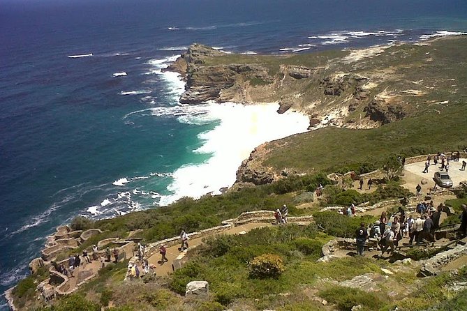 Private Tour with Wine Expert to Cape of Good Hope & Constantia Wine Region - The guide can make or break this itinerary