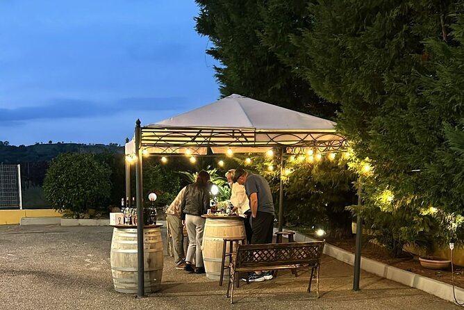 Private Trip to the Vineyards of Ginosa with tasting from Matera - Ginosa’s small winery and cellar visit