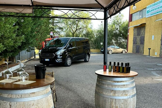 Private Trip to the Vineyards of Ginosa with tasting from Matera - Is $227.49 a fair price?