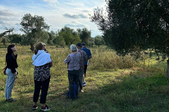 Private Trip to the Vineyards of Ginosa with tasting from Matera - Walking among vines and old olive trees
