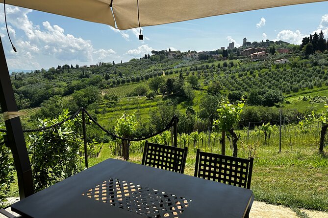 Private Tuscan Lunch with Wine & Evo oil tasting in the Vineyard - Key points at a glance