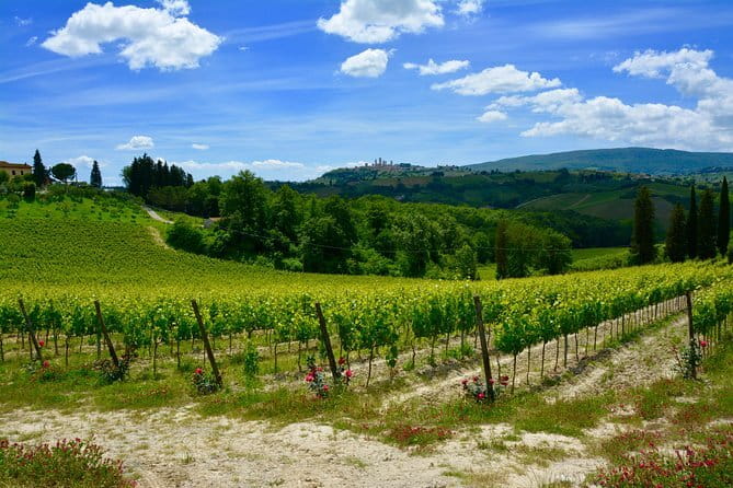 Private Tuscany Day Tour: San Gimignano and Chianti Wine Region from Florence - A private Tuscan day with a clear trade-off