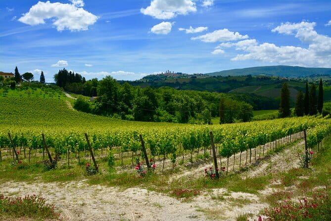 Private Tuscany Day Tour: San Gimignano and Chianti Wine Region from Florence - San Gimignano and its famous towers