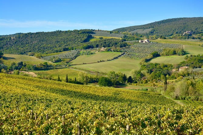 Private Tuscany Day Tour: Siena and Chianti Wine Region from Florence - Siena’s Duomo: a strong first stop