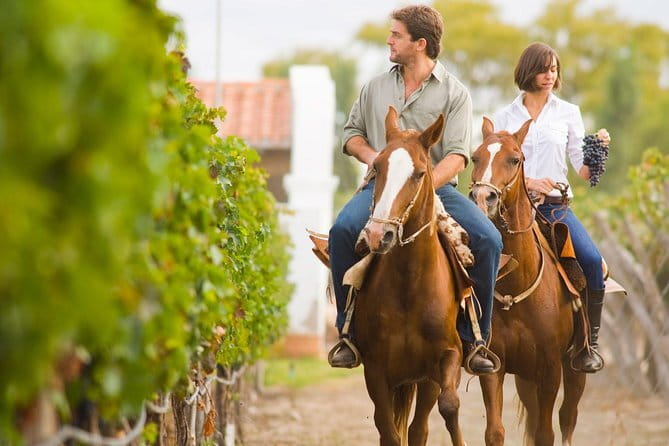 Private Tuscany Day Tour: Siena and Chianti Wine Region from Florence - Piazza del Campo and Siena’s famous horse race