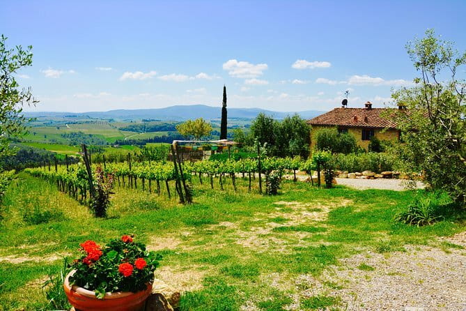 Private Tuscany Day Tour: Siena and Chianti Wine Region from Florence - Leaving Florence at 9 a.m.
