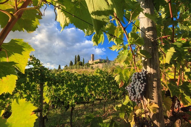 Private Tuscany Tour from Florence Including Siena, San Gimignano and Chianti Wine Region - Key points to know before booking