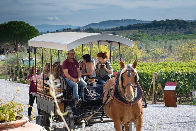 Private Tuscany Tour from Florence Including Siena, San Gimignano and Chianti Wine Region - What the private format really gives you