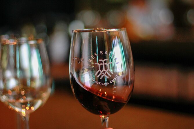 Private Vineyard and Wine Testing Tour From Guanajuato - Key points at a glance