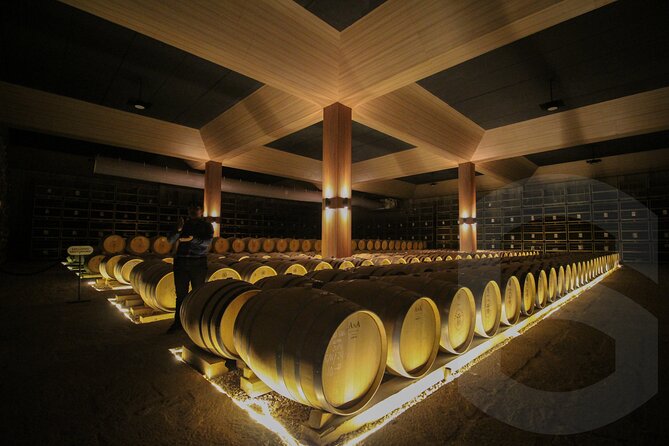 Private Vineyard and Wine Testing Tour From Guanajuato - Dolores Hidalgo: ice cream in the town center